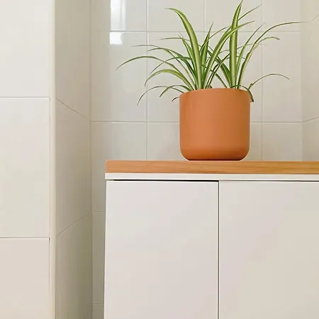 La Maceta Lejlighed *