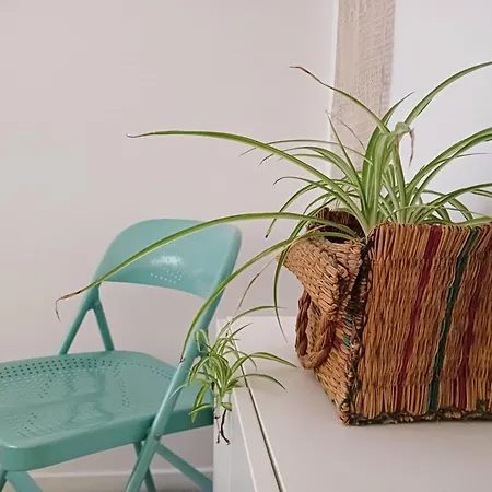 La Maceta * Vilagarcia de Arousa