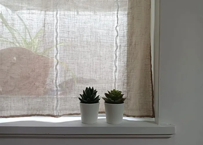 La Maceta Vilagarcia de Arousa