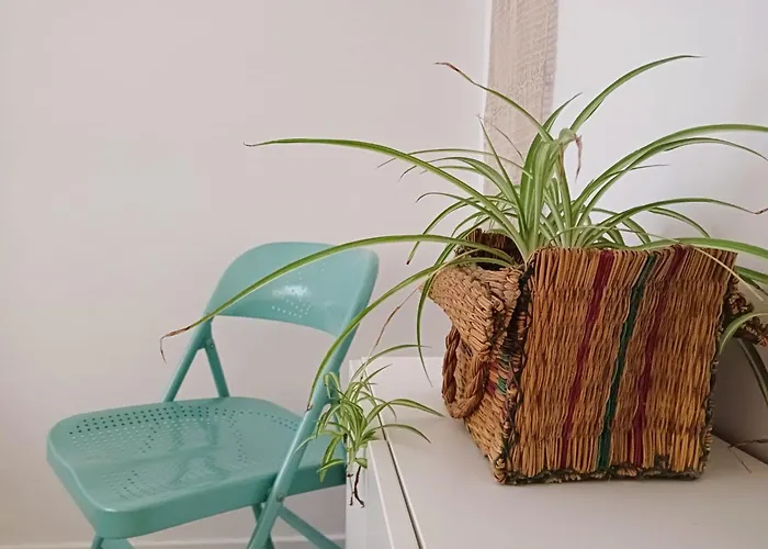 La Maceta * Vilagarcia de Arousa