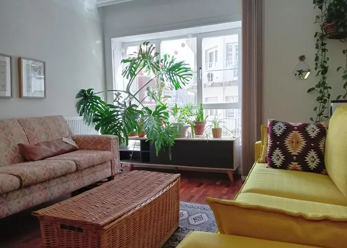 La Maceta Vilagarcia de Arousa