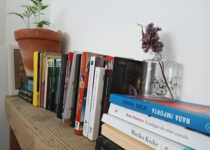 La Maceta * Vilagarcia de Arousa