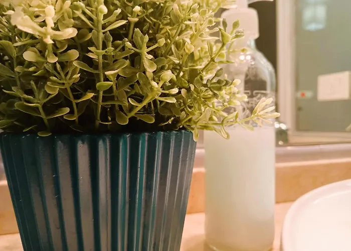 Daire La Maceta Vilagarcia de Arousa